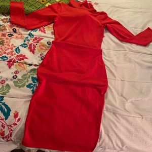 Red Wine LongSleeve fitting dress